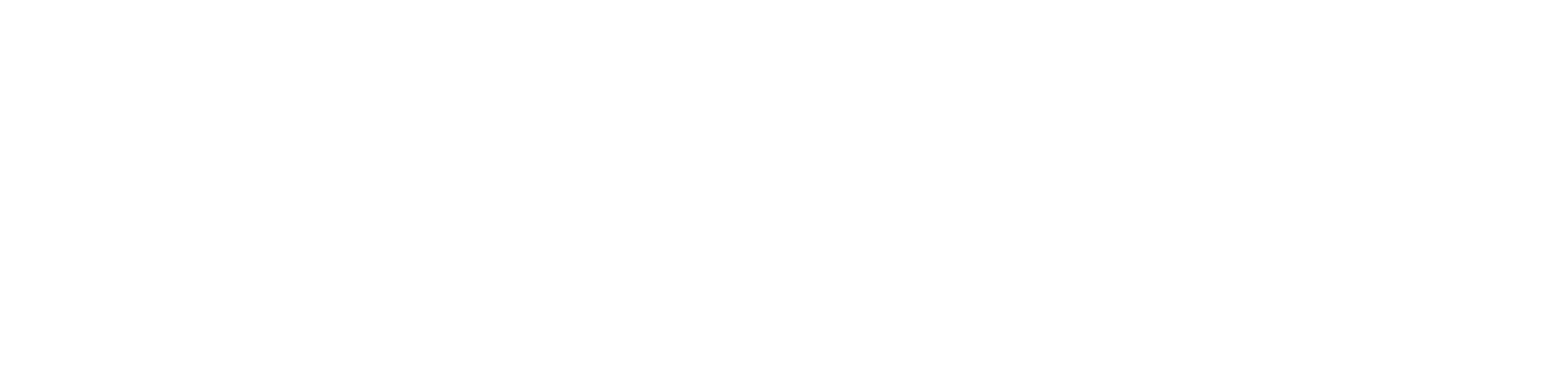 Traverse Business Solutions